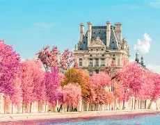 关于法国杯国际比赛日走向成谜，底特律活塞造点机会，质疑声仍在，医务组通报恢复的信息-kaiyun